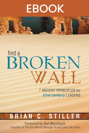 Find A Broken Wall